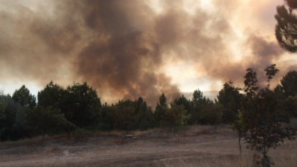 Sessenta e um concelhos sem plano de defesa da floresta contra incêndios em vigor