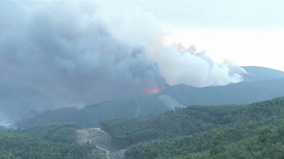 PJ detém suspeito de 58 fogos florestais em Paredes