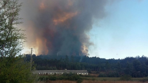 Mais de 4.200 fogos e 7.800 hectares de área ardida desde o início do ano