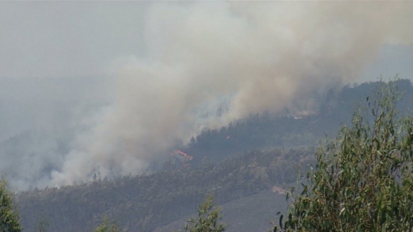 Oito meios aéreos combatem às 11:00 fogo em Tabuaço