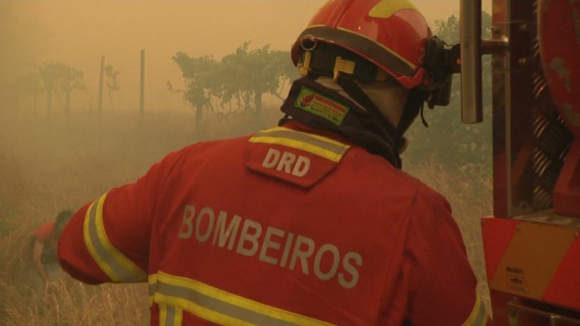Mais de 100 homens e três meios aéreos combatem fogo em Alijó, Vila Real