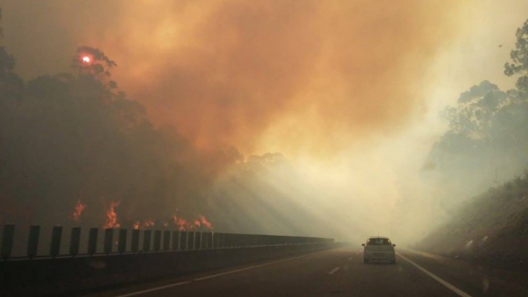 A4, IC5 e EN212 cortados devido a fogo combatido por mais de 150 bombeiros em Alijó, Vila Real