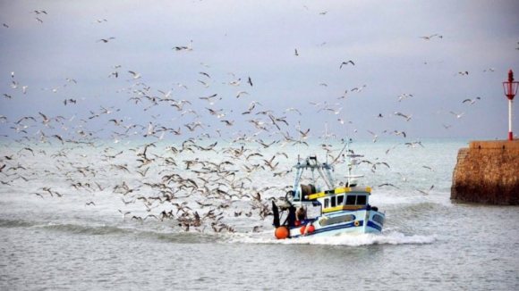 Covid-19: Pescadores de Matosinhos com teste negativo já voltaram ao mar