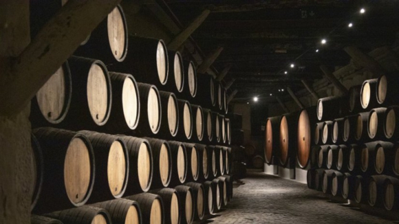 Movimento Causa do Douro critica queda para as 102.000 pipas no vinho do Porto