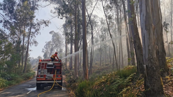GNR registou 800 incêndios até domingo nos quatro concelhos mais afetados do distrito Porto