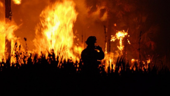 Combate ao fogo em Oliveira de Frades reforçado, mais de 500 operacionais no terreno