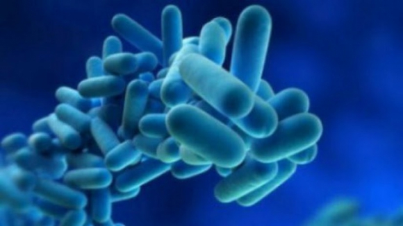 Ministério Público abre inquérito para investigar causas do surto de Legionella a Norte