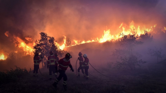 Já arderam mais de 100 mil hectares de território português em 2022
