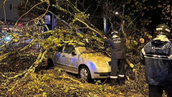 Queda de árvore no Porto provoca ferido. Condutora encontrava-se no interior do veículo