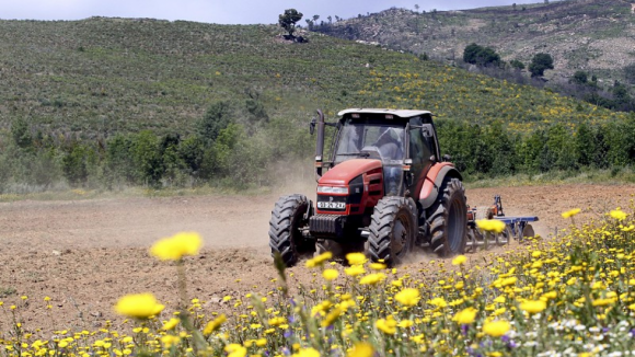 Agricultores podem recorrer a compensação global de 180 milhões de euros 
