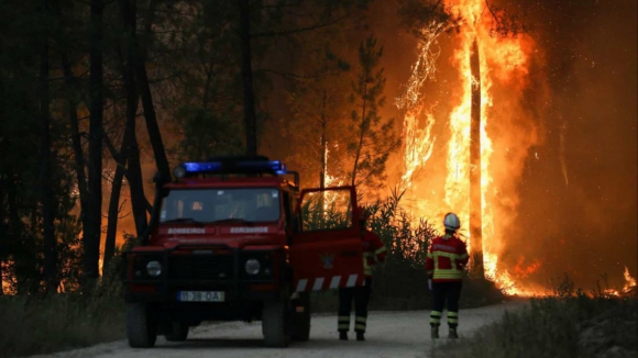 Mais de 100 operacionais combatem fogo em Albergaria-a-Velha