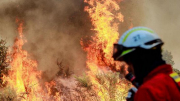 Incêndios. Mais de mil bombeiros combatem fogos em Odemira, Cinfães e Leiria