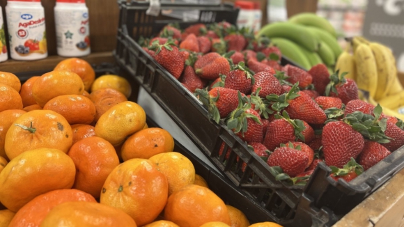 Exportações de frutas e legumes passam 1.000 milhões de euros pela primeira vez no primeiro semestre