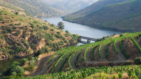 Douro implementa projeto-piloto de reutilização de água na rega de vinhas