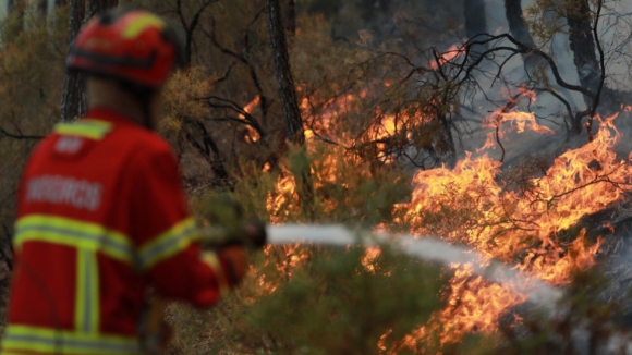 GNR deteve 63 pessoas pelo crime de provocarem incêndios em 2023