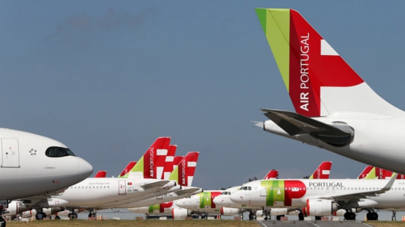 Ambientalistas "mais favoráveis" a novo aeroporto de Lisboa em Vendas Novas