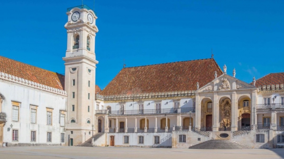Universidade de Coimbra desenvolve solução para regeneração de tecidos