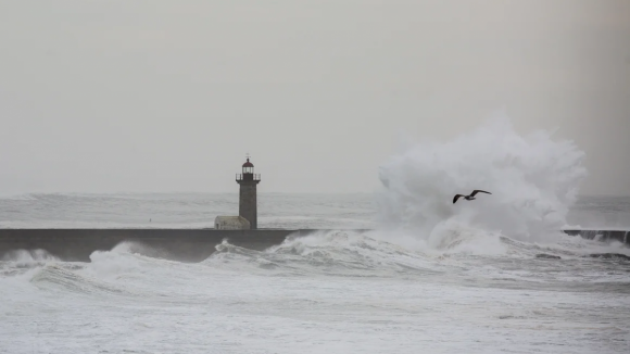 Porto sob aviso laranja devido a ondas com "cinco a 5,5 metros"