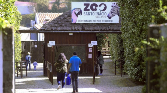 Zoo Santo Inácio teve em 2023 melhor ano de sempre em visitas