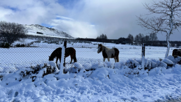 Alunos de Montalegre regressam a casa mais cedo devido à queda de neve