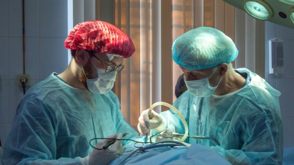 Transplante pulmonar deu uma "segunda vida" a 400 doentes em Portugal