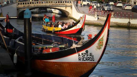 Do século XIX até à atualidade: Uma viagem de moliceiro pela ‘Veneza’ portuguesa