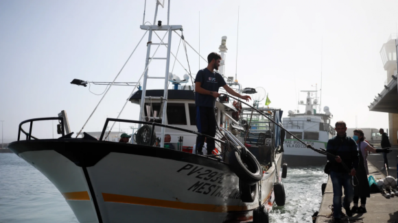 Pescadores podem voltar a capturar sardinhas em Portugal a partir de hoje