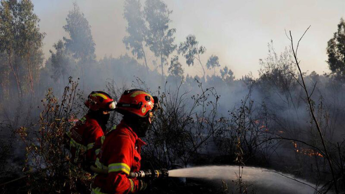 Detido Suspeito De Atear Inc Ndio Em Terreno Em Vila Nova De Gaia