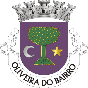 Oliveira do Bairro