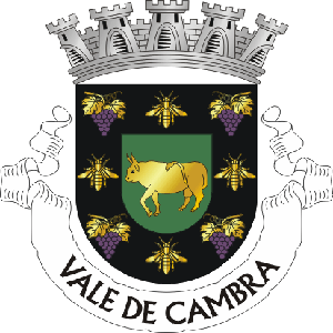 Vale de Cambra