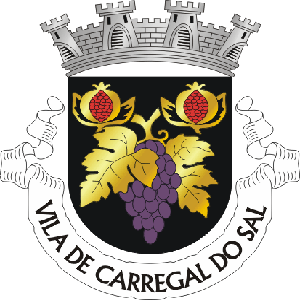 Carregal do Sal 