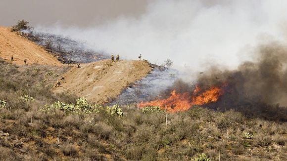 Inc&ecirc;ndios em mato e floresta lavram em Amarante e Vila Verde