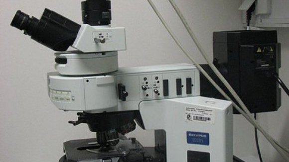 Prémio Nobel da Química distingue melhorias no microscópio