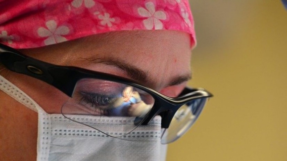 Médicos apresentam queixa contra declarações de bastonária dos Enfermeiros sobre eutanásia