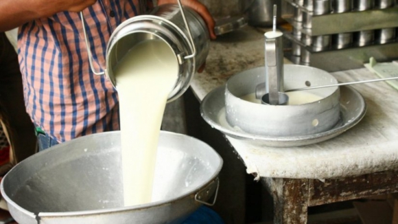 Bruxelas disponível para aceitar redução temporária de produção de leite e um aumento dos apoios ao armazenamento 