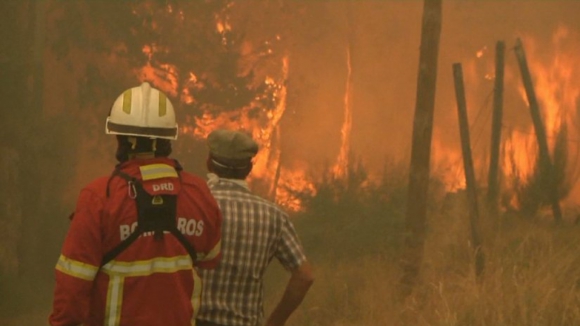 Mais de mil operacionais combatem fogos no distrito de Aveiro