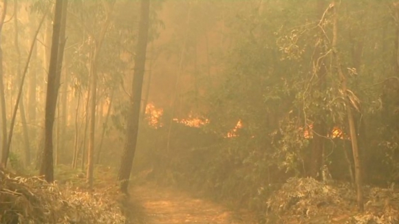 Fogo no concelho de Vila Nova de Cerveira lavra há dez horas