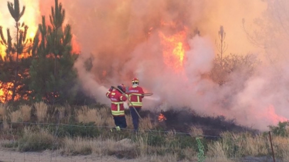 Época crítica de incêndios termina hoje com área ardida superior a 160 mil hectares