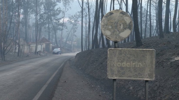 Prote&ccedil;&atilde;o Civil alerta para perigo de fogos florestais nos pr&oacute;ximos dias