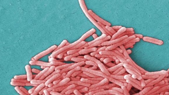 Há 38 casos confirmados de Legionella, cinco doentes ainda internados nos cuidados intensivos