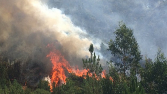 Dois incêndios em Castro Daire mobilizam mais de 500 operacionais