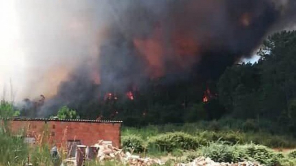 Incêndio violento em Vale de Cambra está perto de povoações e mobiliza mais de 200 operacionais e sete meios aéreos