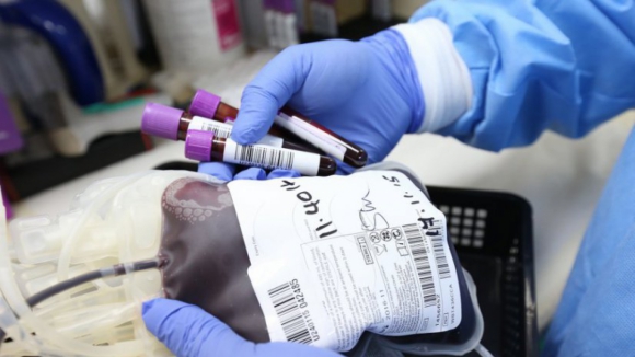 DGS clarifica norma sobre dadores de sangue com base no princípio da não-discriminação