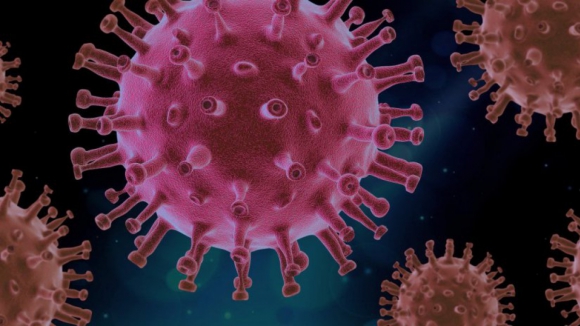 Covid-19: 15,5% da população com anticorpos, a maioria conferida por infeção