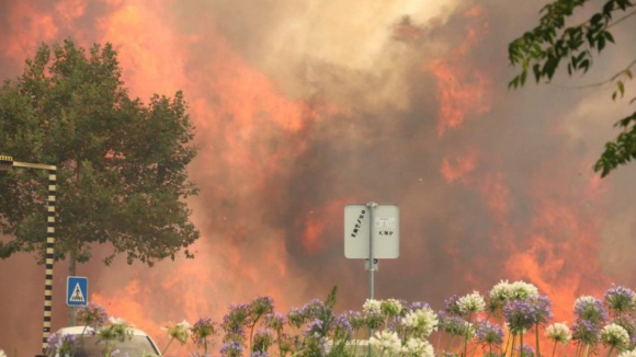 Avião-anfíbio de combate aos incêndios cai em Foz Côa