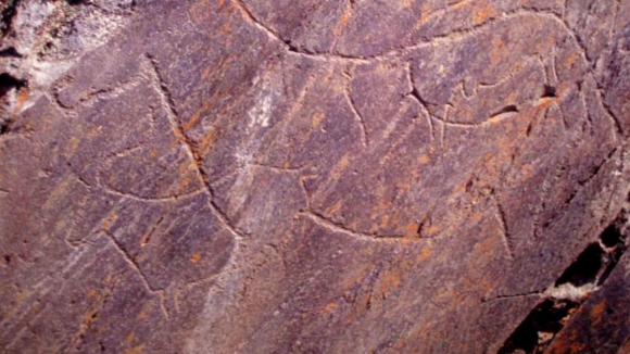 Descoberto no Côa novo fragmento de rocha gravada com mais de 16 mil anos