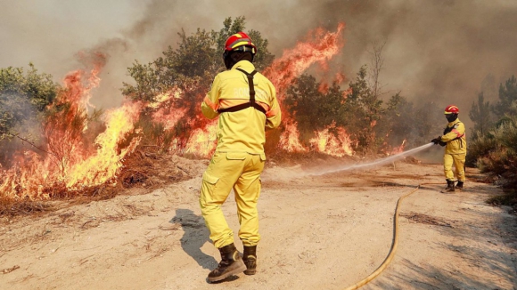 Mais de 100 bombeiros combatem fogo na Serra do Marão
