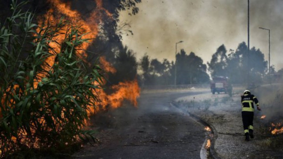Incêndios: Cerca de 50 concelhos do interior Norte e Centro, Alto Alentejo e Algarve em risco máximo