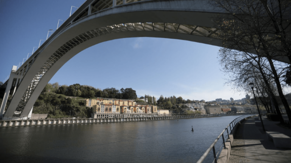 Natação em águas abertas está de volta ao rio Douro 43 anos depois 