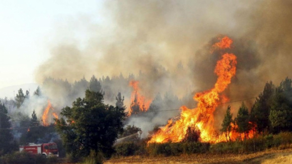 Incêndios: Autarca de Valpaços exige reservatório de água que faria “a diferença” no combate